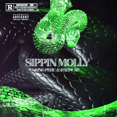 Sippin Molly (feat. Young Bo5) - Single
