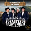Mi Formula de Amor