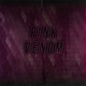 Pink Venom (Instrumental) artwork