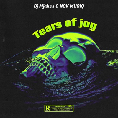 Tears of Joy (feat. NSK Musiq) - Single