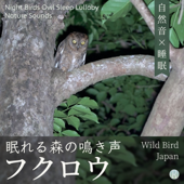 フクロウ 眠れる森の鳴き声 - 自然音×睡眠