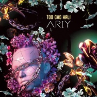 Too Che Hali - Single - Ariy