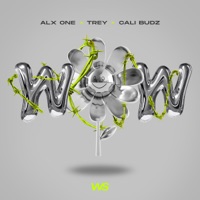Wow - Single - Cali Budz, Alx One & Trey