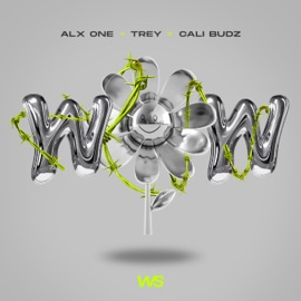 Wow Cali Budz, Alx One & Trey