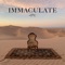 Immaculate - RA-BE 333 & Swan Hil lyrics