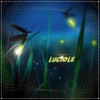 Luciole Luciole Luciole - Single