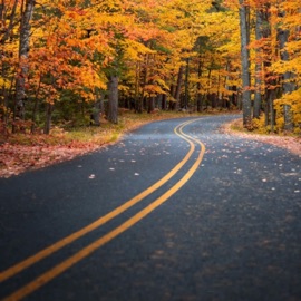 jaded. (feat. Kiddamo) acid.