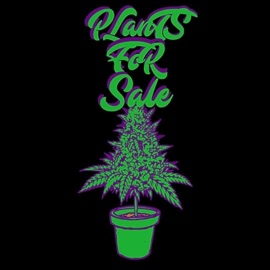 Dopamine (Original Instrumental Version) Plants for Sale, Spencer Nelson & Chris Shields