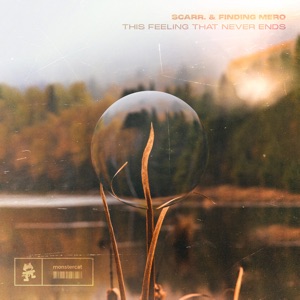 This Feeling That Never Ends - Single