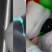 Down Bad - Single - Dodgeraf