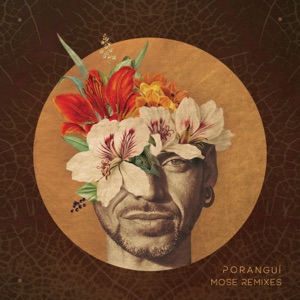 Stardust (Mose Remix)