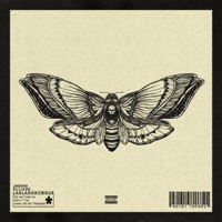 Sumrdays - Single - LAELANONYMOUS, Jadoni & Olijade