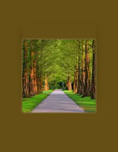 Betorse Music. सुनें, म्यूज़िक वीडियो देखें, बायो पढ़ें, दौरे की तारीखें और बहुत कुछ देखें!