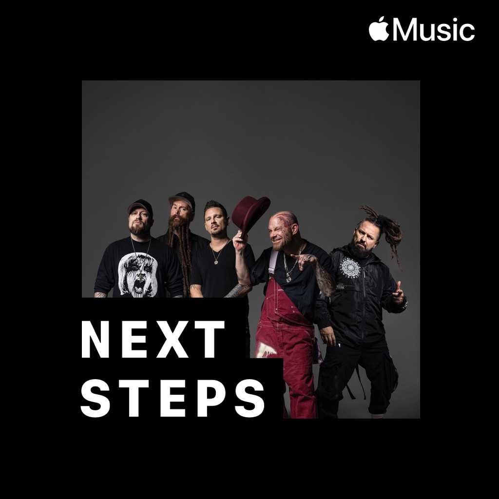 Five Finger Death Punch: Next Steps