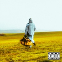 NevěřimTiNicHoe - Single - Ermen