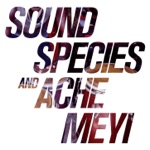 Soundspecies & Ache Meyi - Egrem Bata Jam