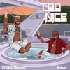 Too Nice - Single