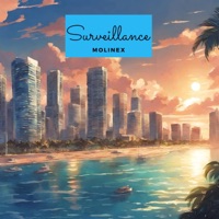 Surveillance - Single - Molinex