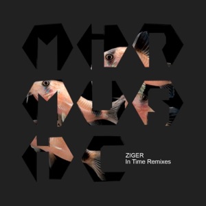 In Time Remixes - Single