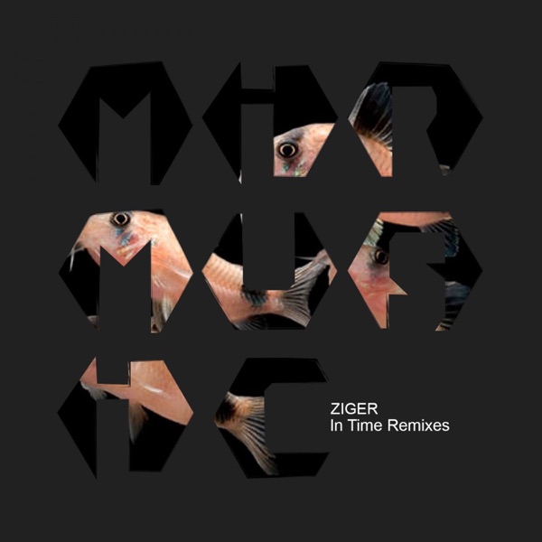 In Time Remixes - Single