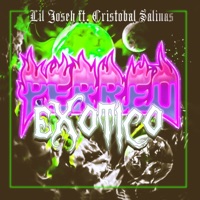 PERREO EXOTICO (feat. Cristobal Salinas) - Single - Lil Joseh