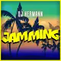 Jamming