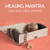 Daily Yoga Music Paradise - Zen Experience and Cleansing