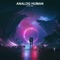 Absolutist - Analog Human lyrics