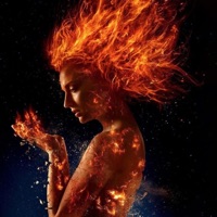 The Fire - Single - Madison X