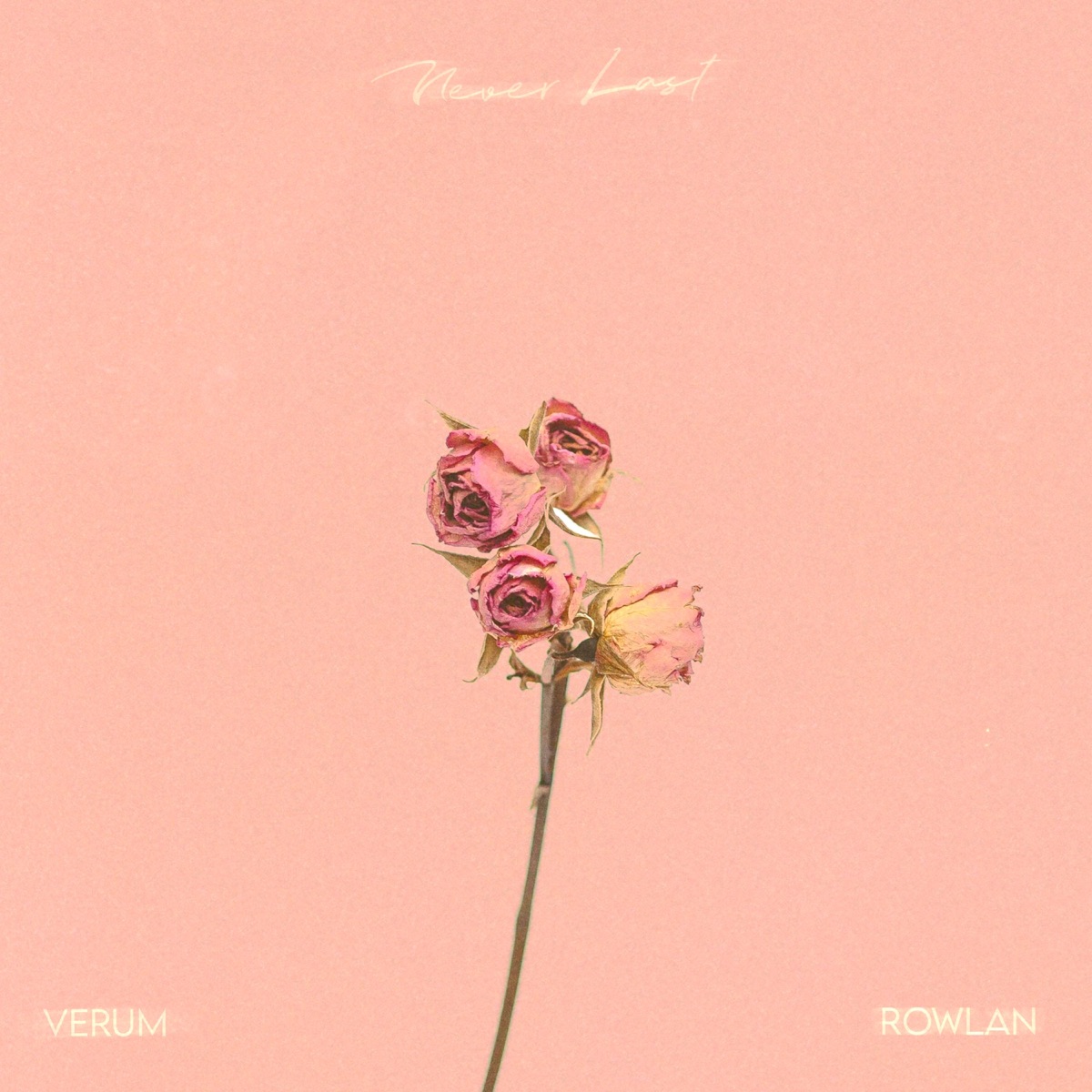 Never Last - Single