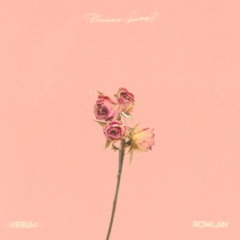 Never Last Verum & Rowlan