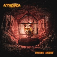 Infernal Carnage - Single - Andromida
