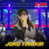 Joko Tingkir - Single