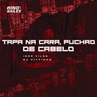 Tapa na Cara, Puchão de Cabelo - Single - Igor vilão & Dj Vittinho