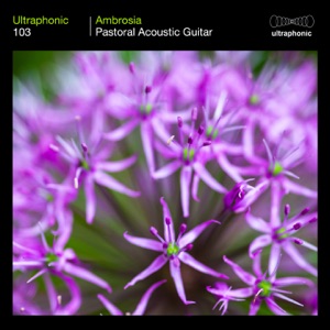 Ambrosia (Pastoral Acoustic Guitar)