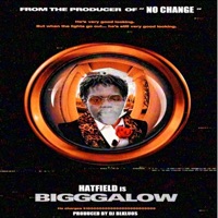 BIGGGALOW (feat. HATFIELD) - Single - DJ Blkluos