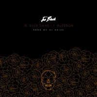 Je suis dans le buisson - Single - Joe Black
