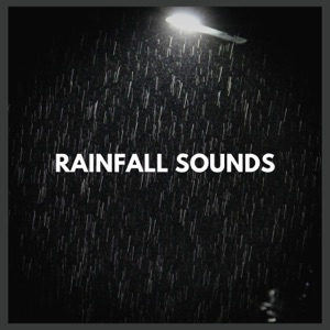 Rainfall Sounds, Pt. 98