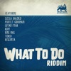 What to Do Riddim