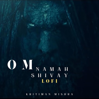 Om Namah Shivay (LoFi) - Single
