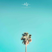 靜謐森林 (催眠曲+水流聲)