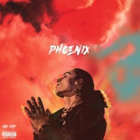 Phoenix - Big Trip