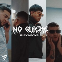 No Quiere (feat. OmrOnTheBeat, Sevha, Rxhi, Punto Tres & KygoOficial) - Single - VisionaryEspacial