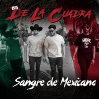 Sangre de Mexicano - Los de la cuadra