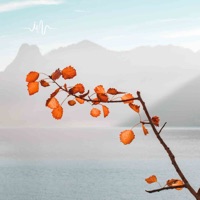 花落亦无情舒缓压力放松音乐 - 乐野十里