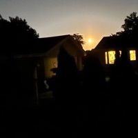 Numb - Single - C Lotti