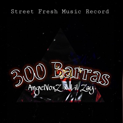 300 Barras (feat. Lil Zay TGC) - Single