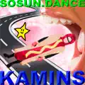 Kamins
