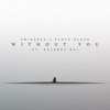 Without You (feat. Delaney Kai) - Single