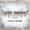 Bad to the Bone - George Thorogood & The Destroyers